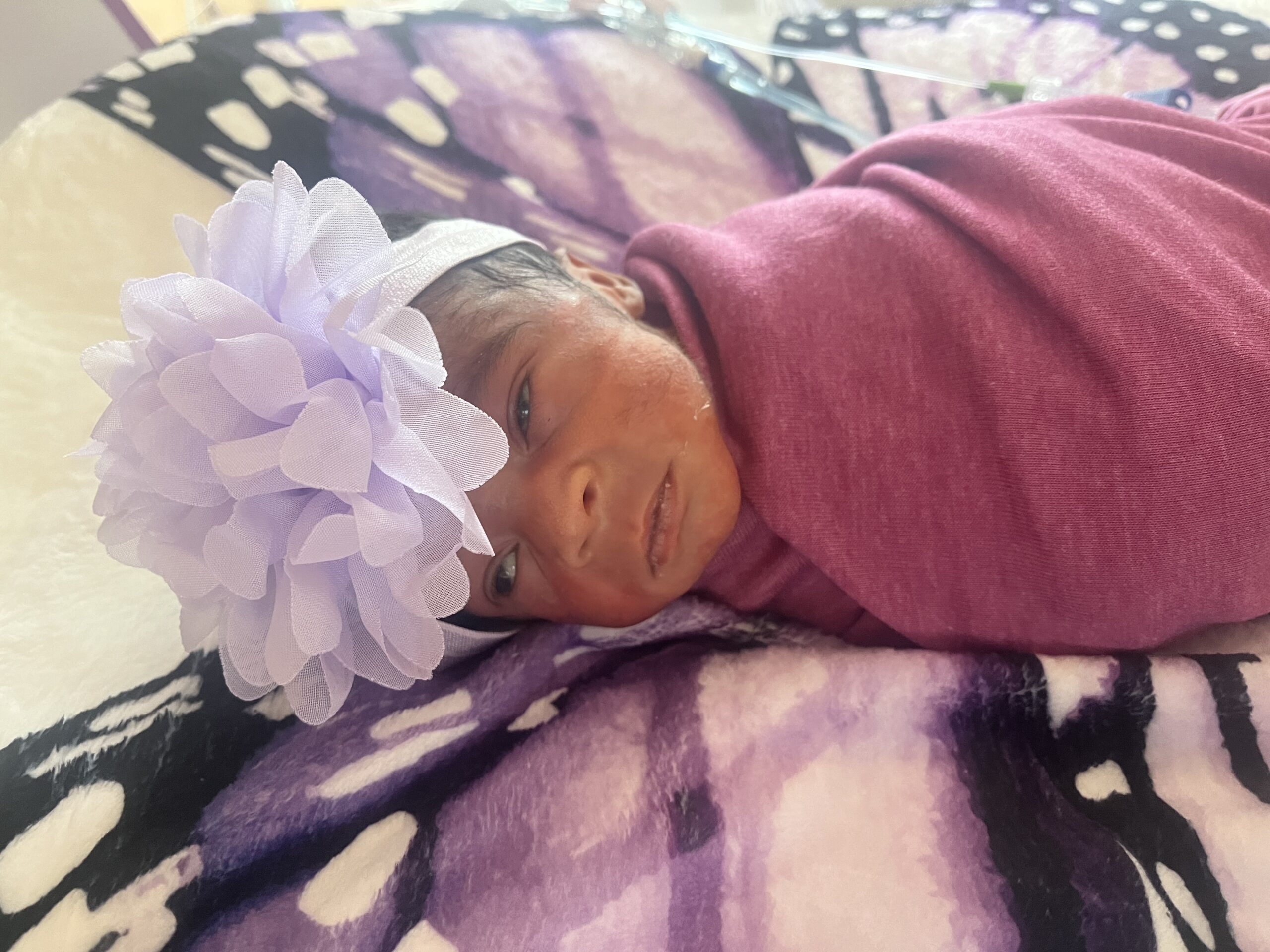 Harper peacefully resting